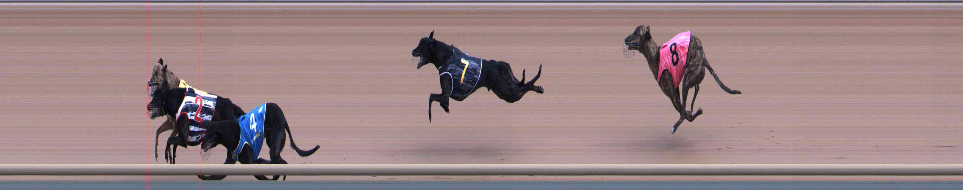 Photo finish for Healesville Race 6