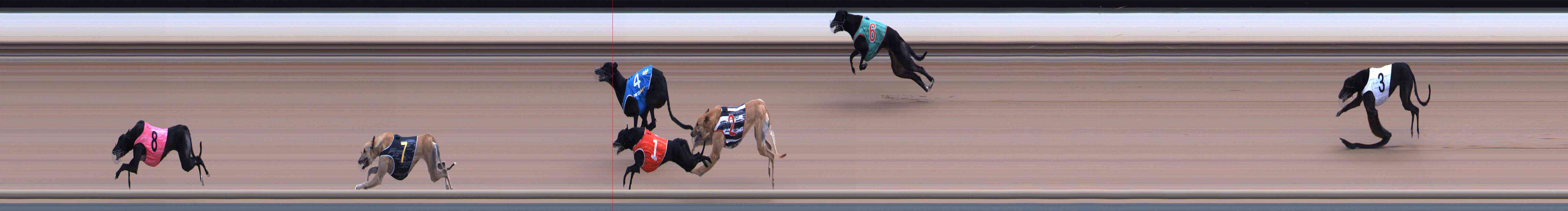 Photo finish for Healesville Race 7