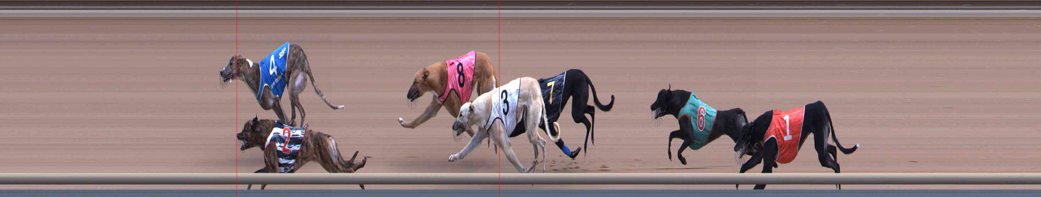 Photo finish for Healesville Race 8