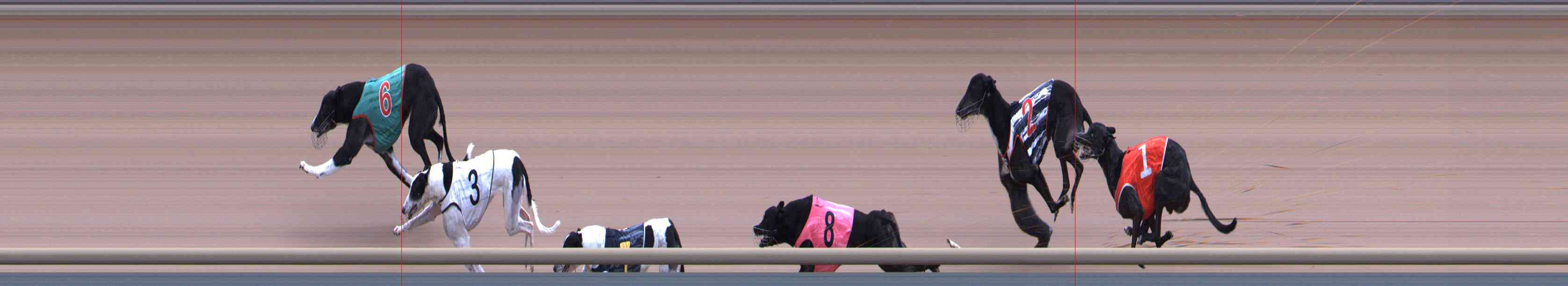 Photo finish for Healesville Race 9