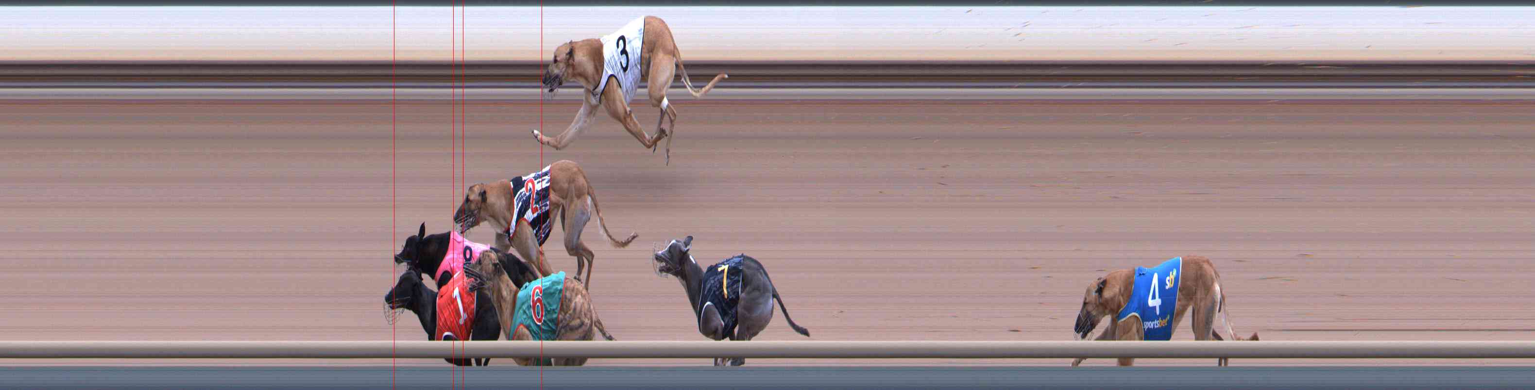 Photo finish for Healesville Race 10