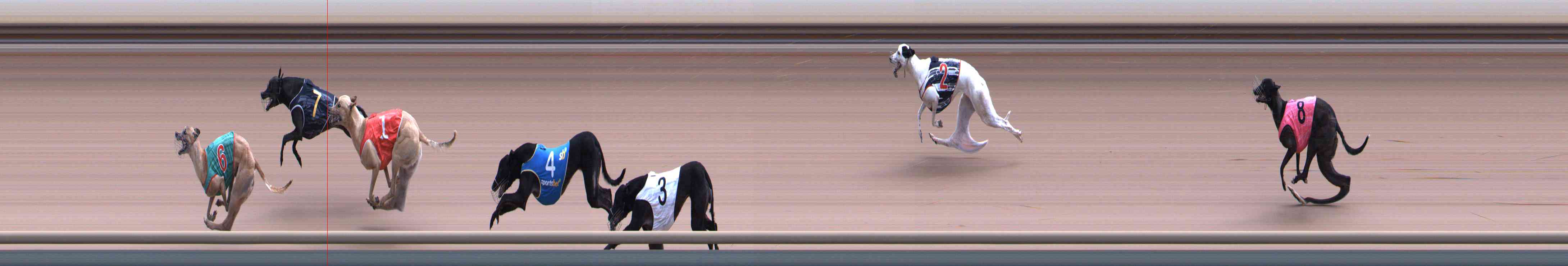 Photo finish for Healesville Race 11