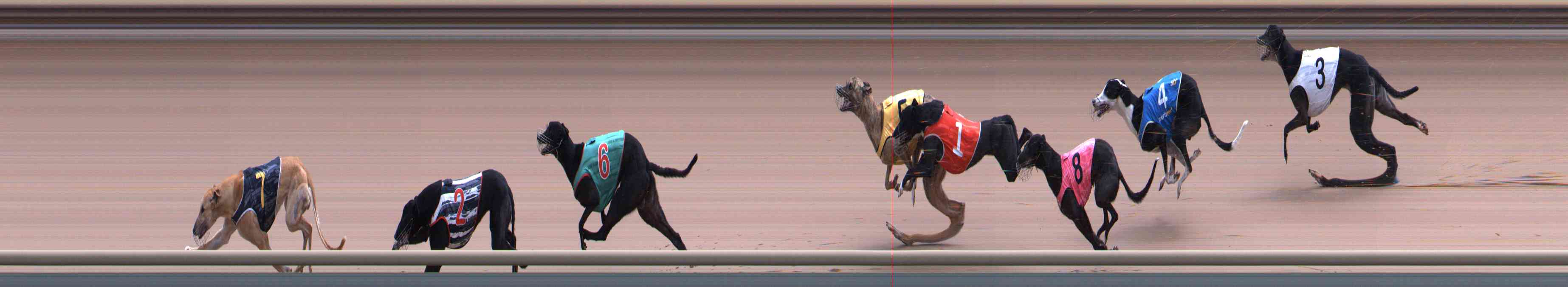 Photo finish for Healesville Race 12