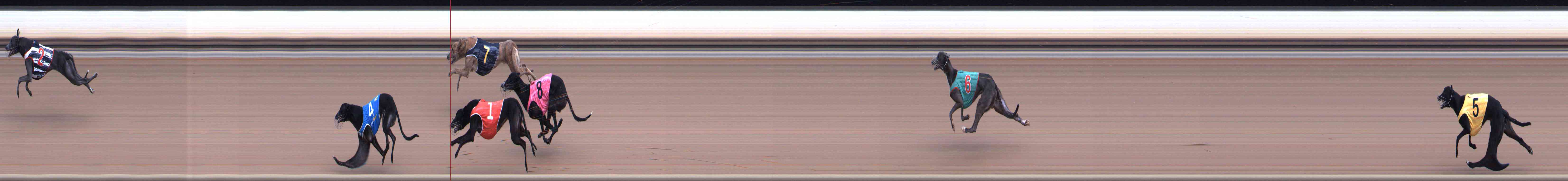 Photo finish for Healesville Race 3