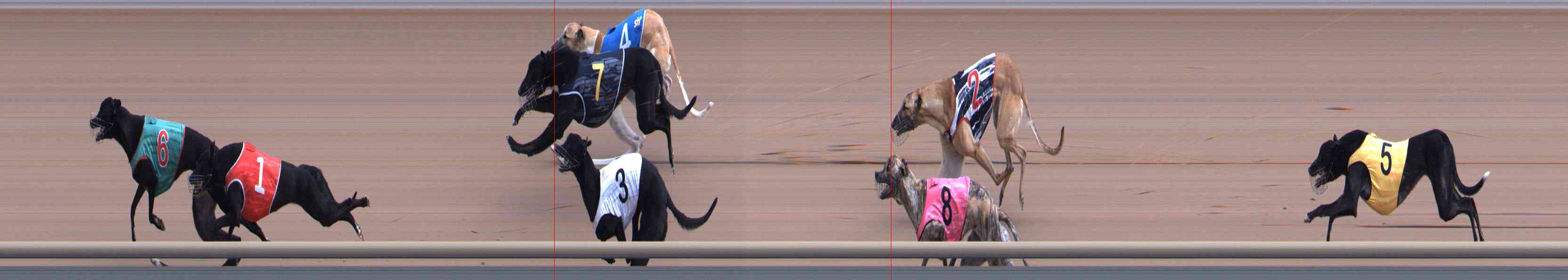 Photo finish for Healesville Race 5