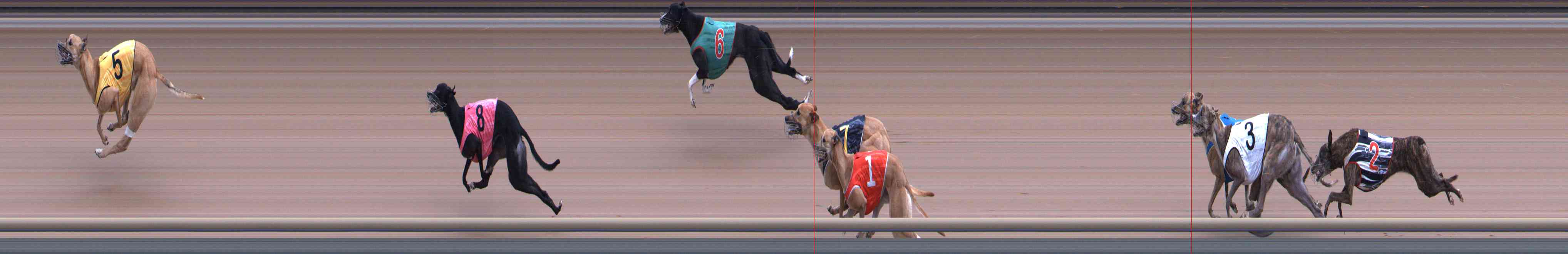 Photo finish for Healesville Race 6