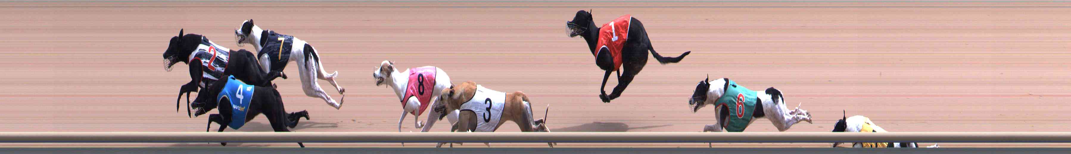 Photo finish for Healesville Race 7