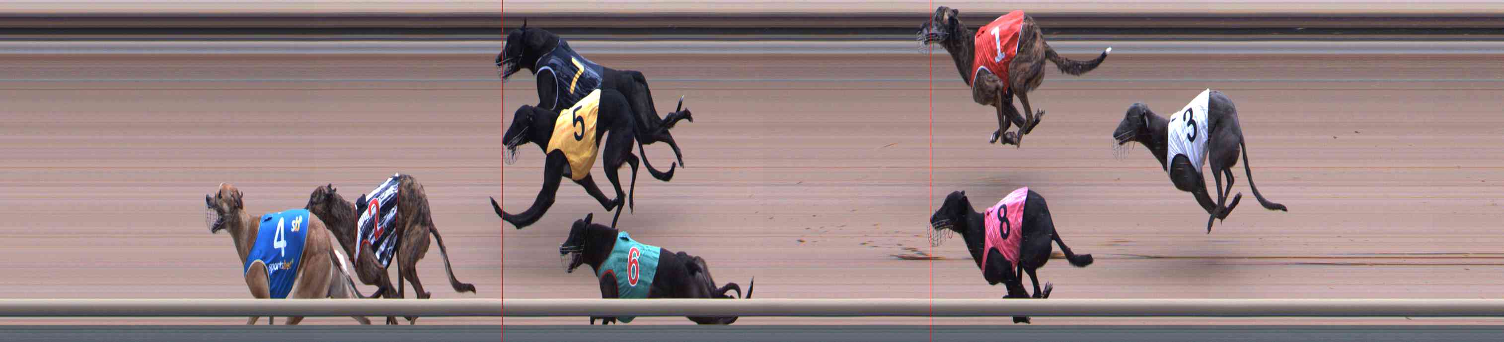 Photo finish for Healesville Race 8