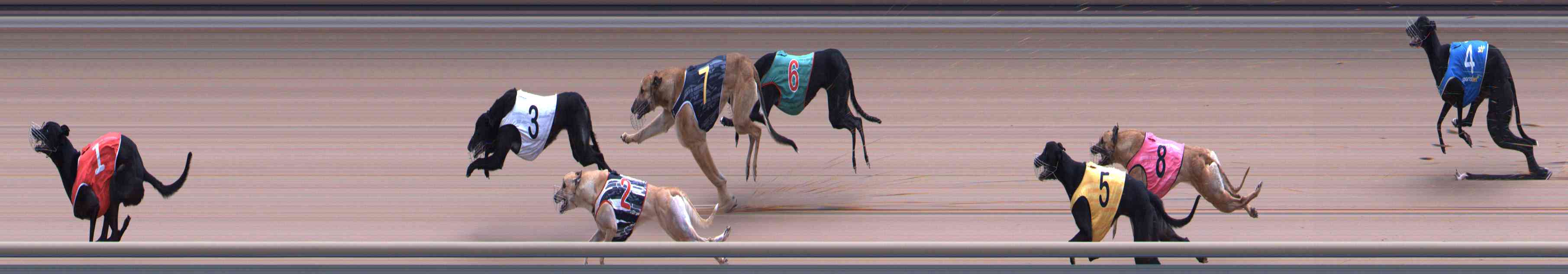Photo finish for Healesville Race 9