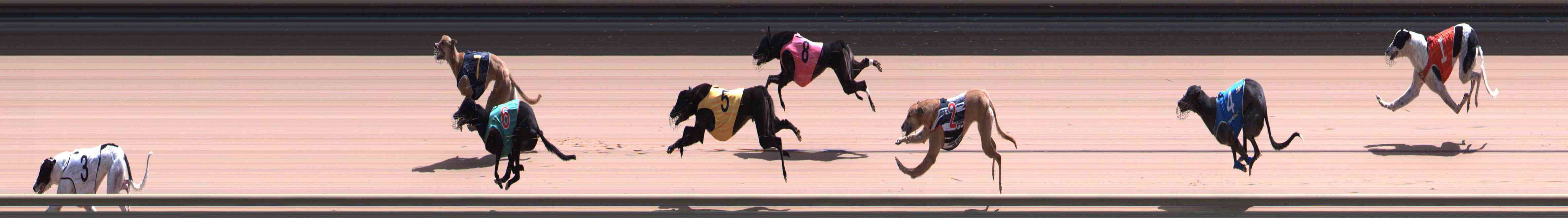 Photo finish for Healesville Race 10