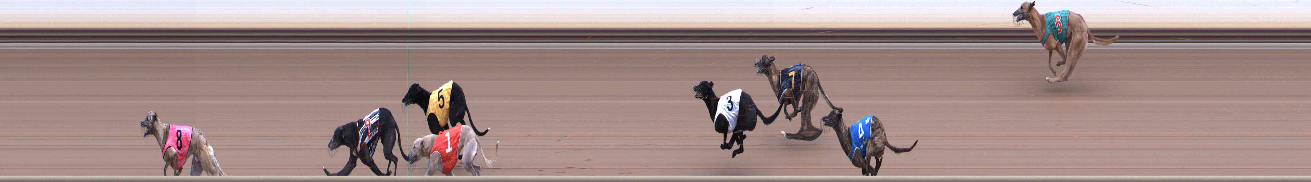 Photo finish for Healesville Race 2