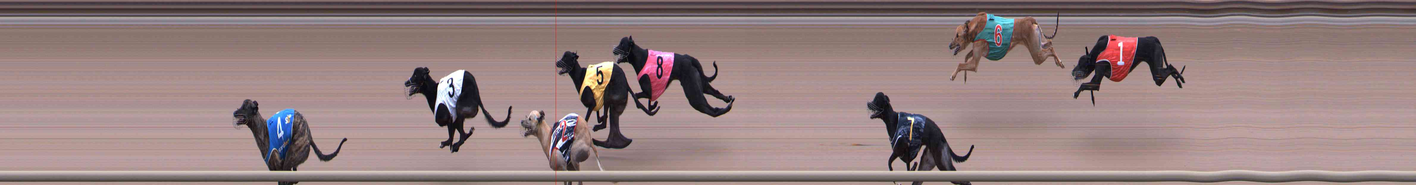 Photo finish for Healesville Race 3