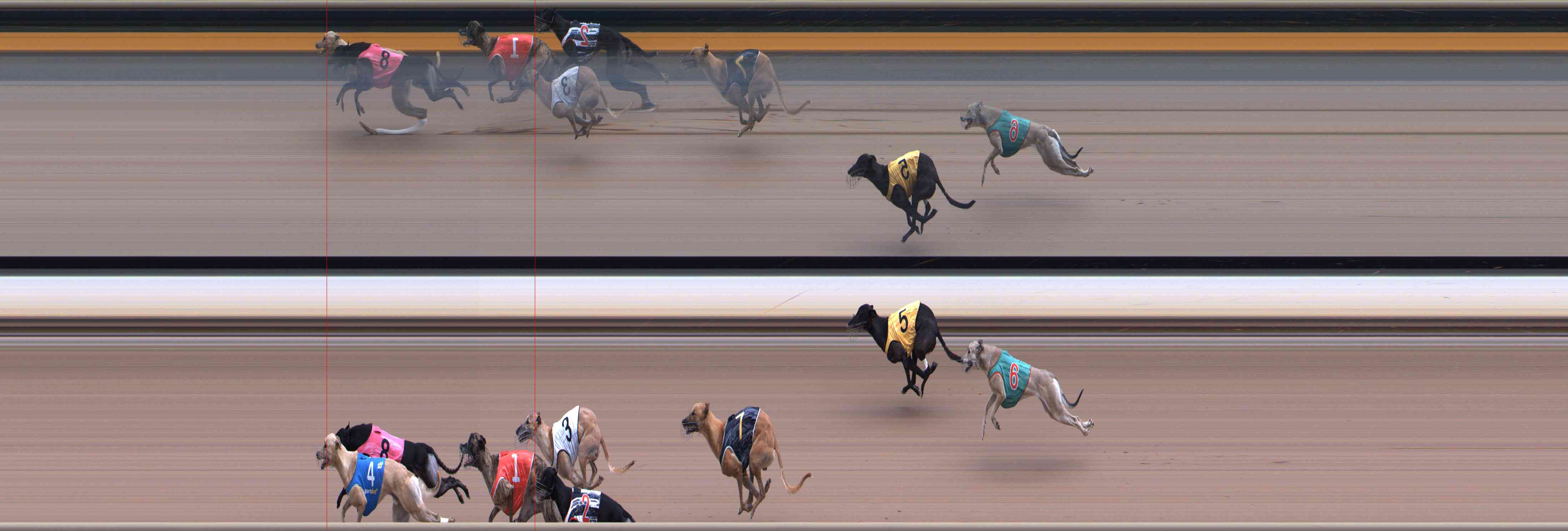 Photo finish for Healesville Race 4
