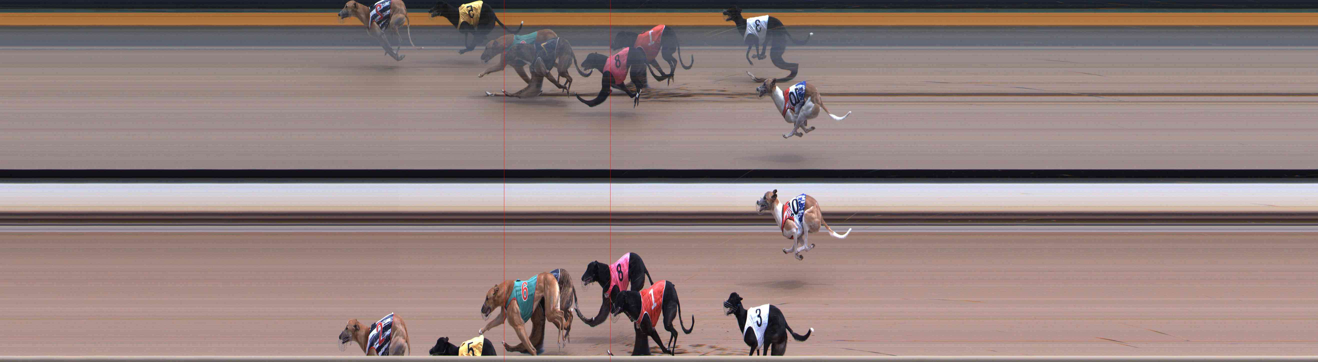 Photo finish for Healesville Race 5