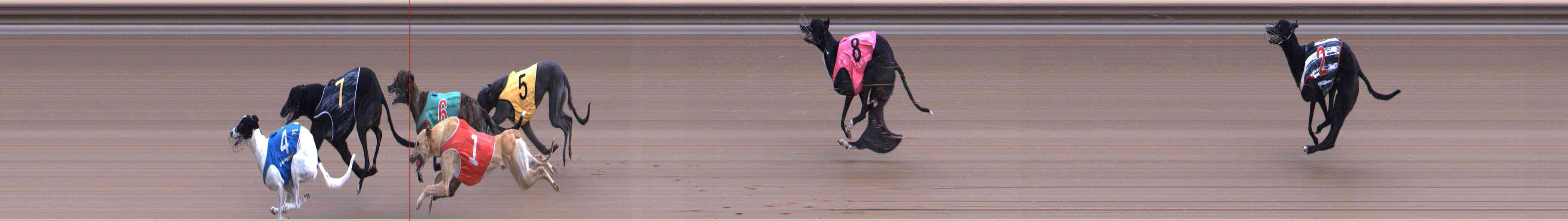 Photo finish for Healesville Race 6