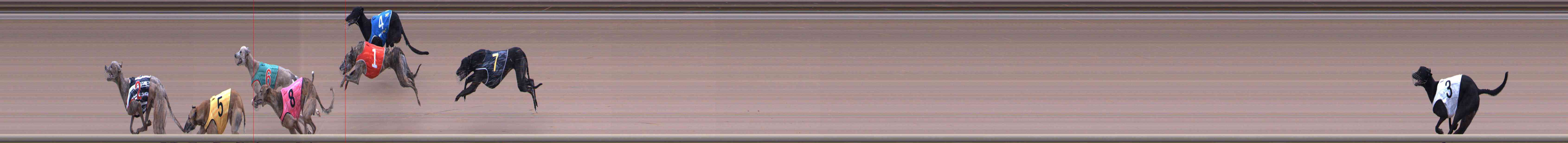 Photo finish for Healesville Race 7
