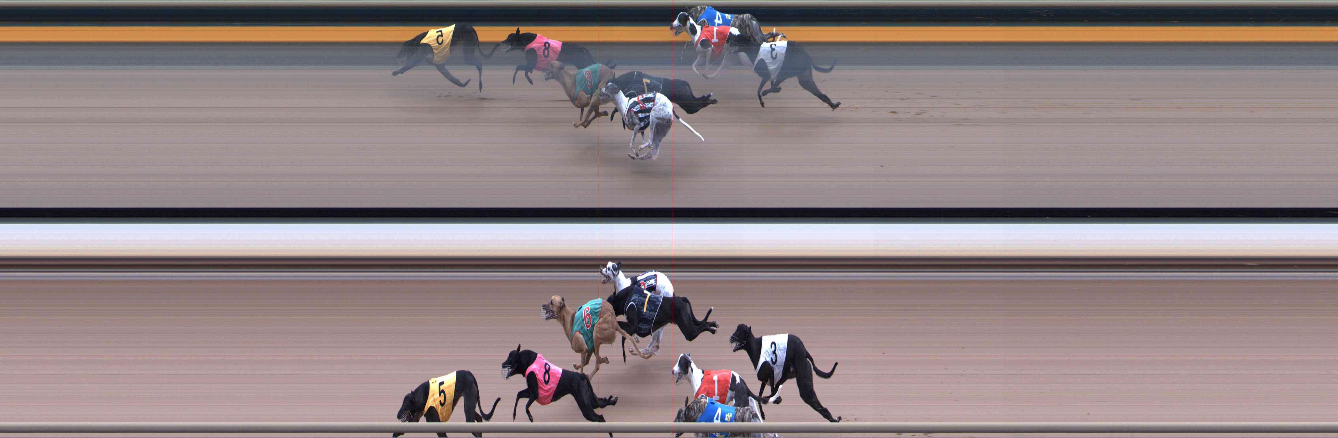 Photo finish for Healesville Race 8