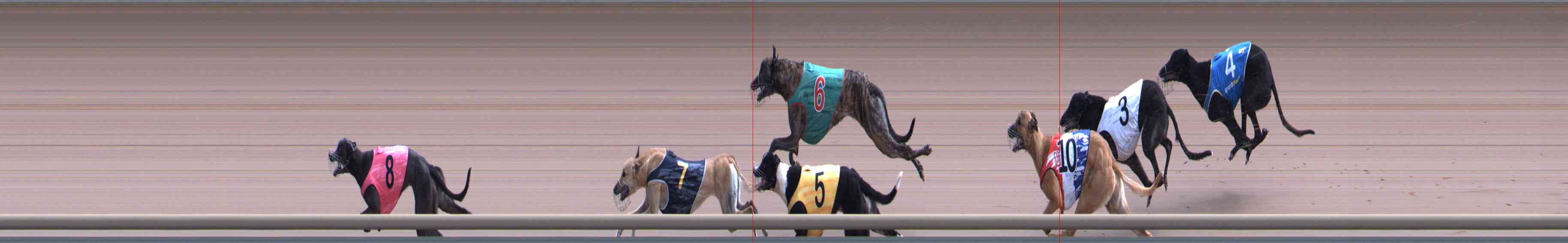 Photo finish for Healesville Race 9