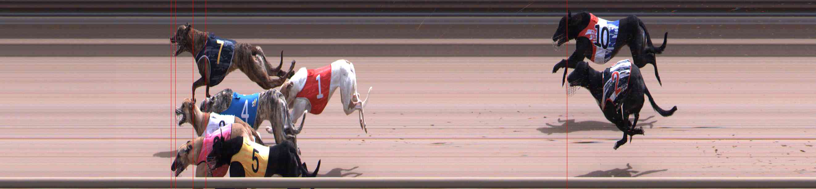 Photo finish for Healesville Race 10