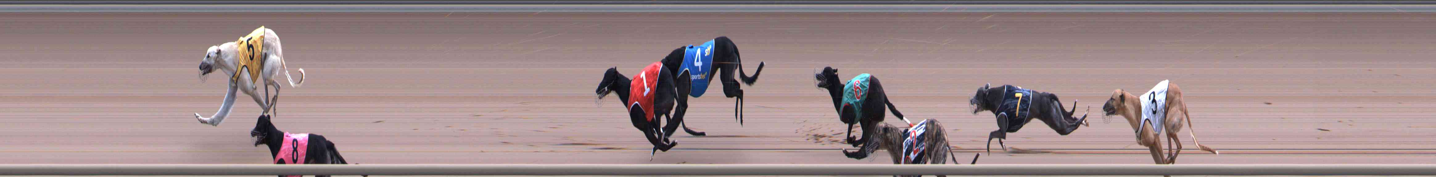 Photo finish for Healesville Race 11