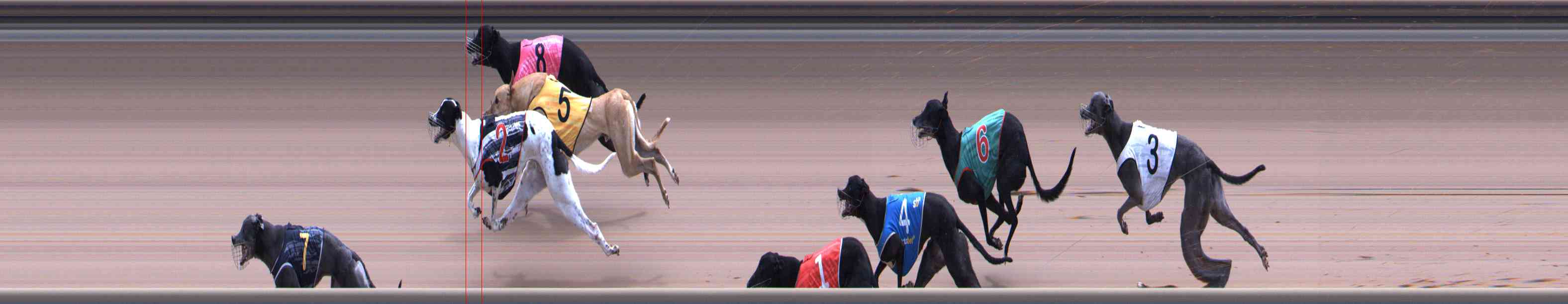 Photo finish for Healesville Race 12