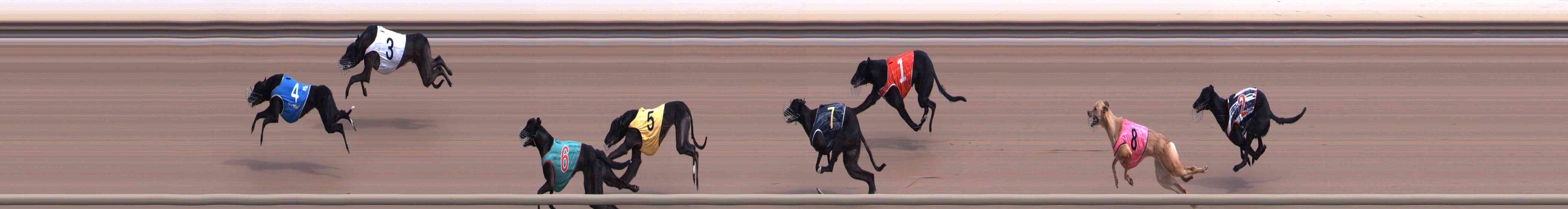 Photo finish for Healesville Race 2