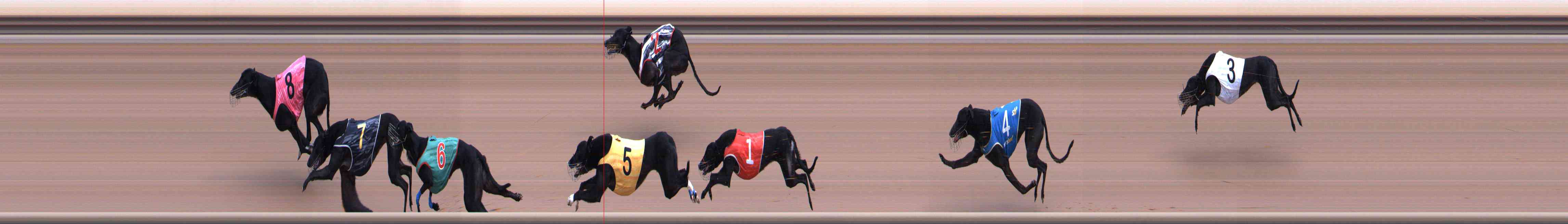 Photo finish for Healesville Race 3