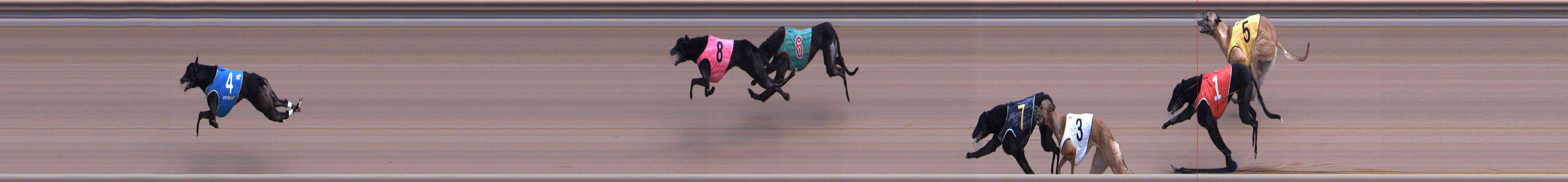 Photo finish for Healesville Race 4
