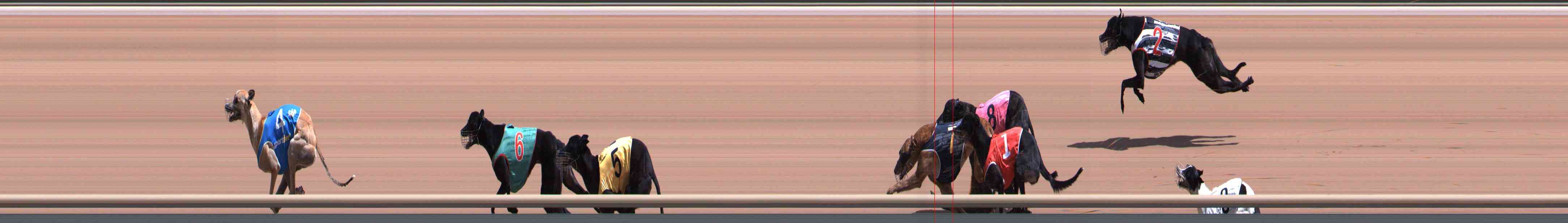 Photo finish for Healesville Race 5
