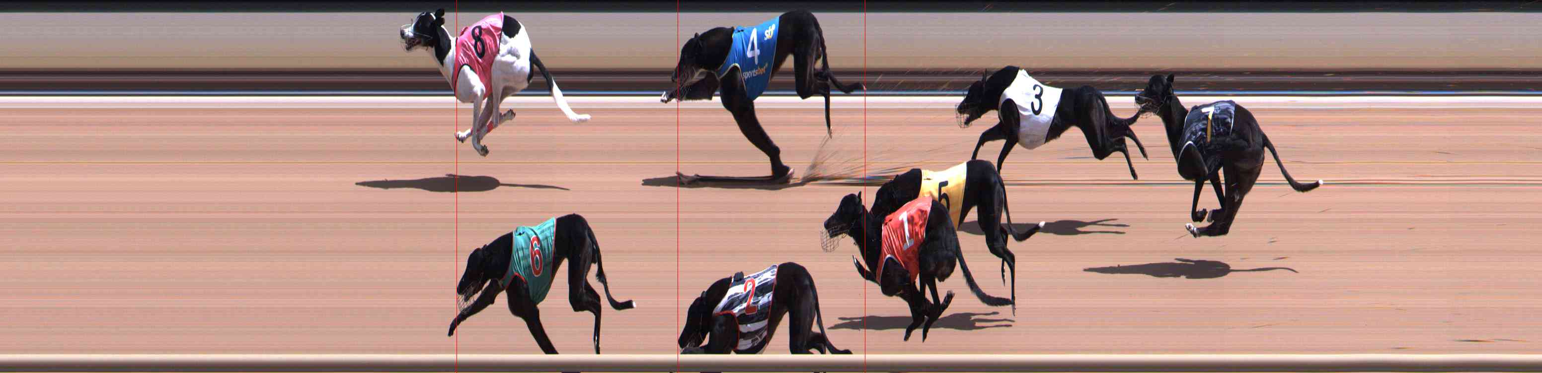 Photo finish for Healesville Race 6