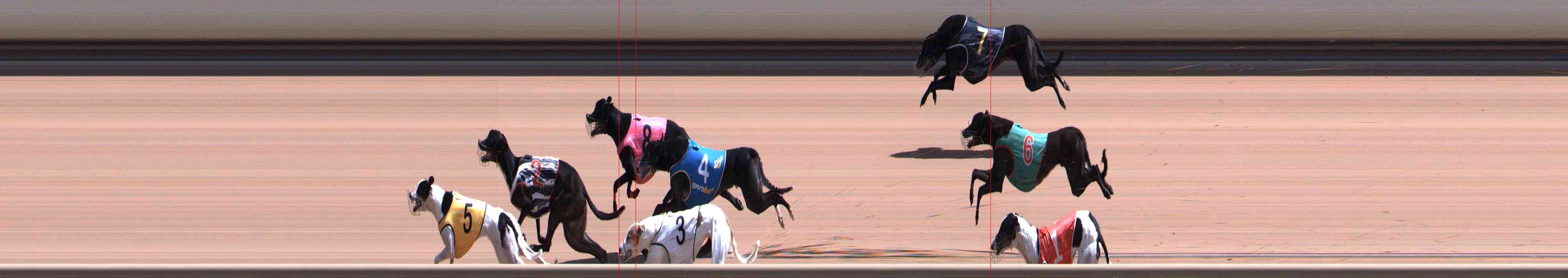 Photo finish for Healesville Race 8