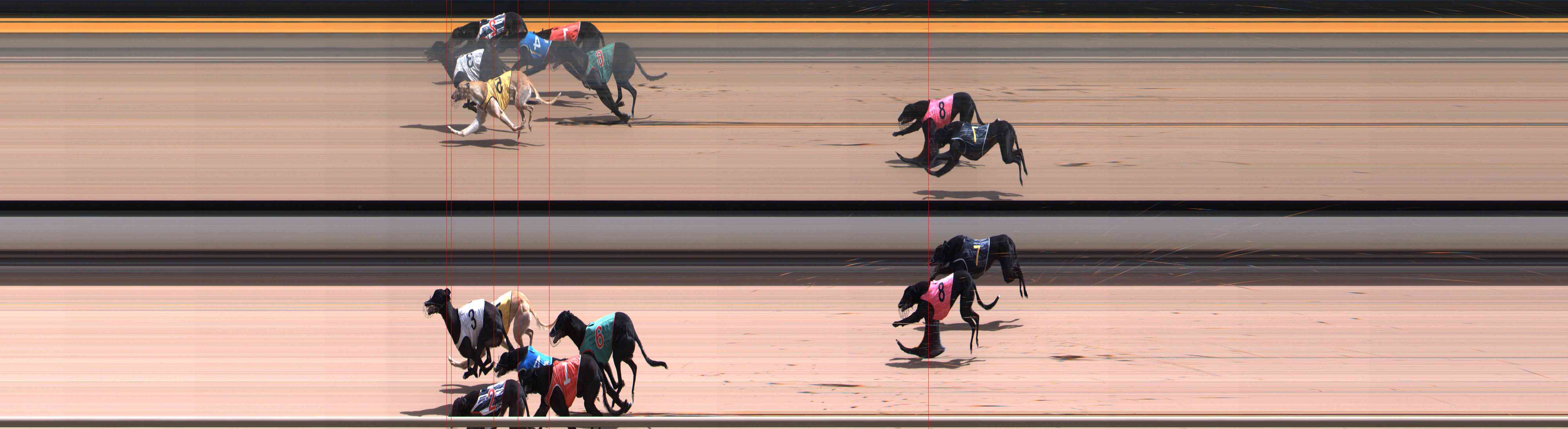 Photo finish for Healesville Race 9