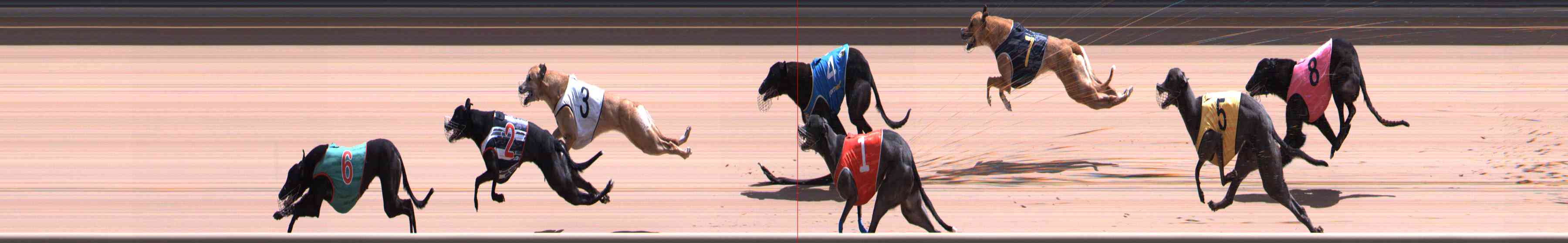 Photo finish for Healesville Race 10