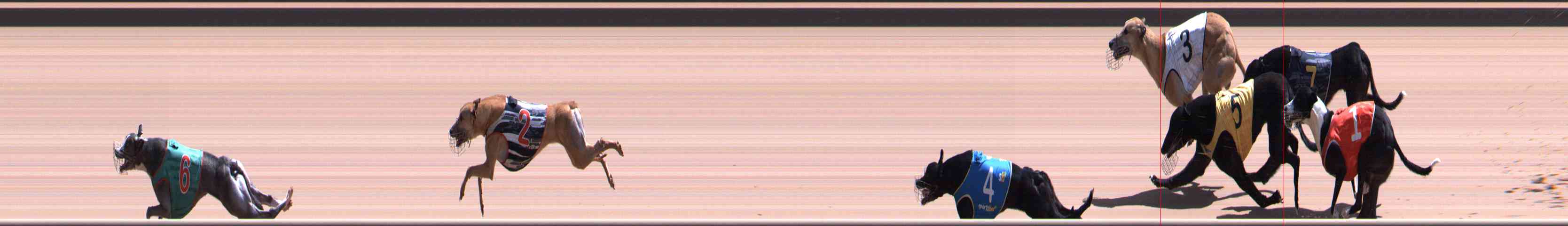 Photo finish for Healesville Race 11