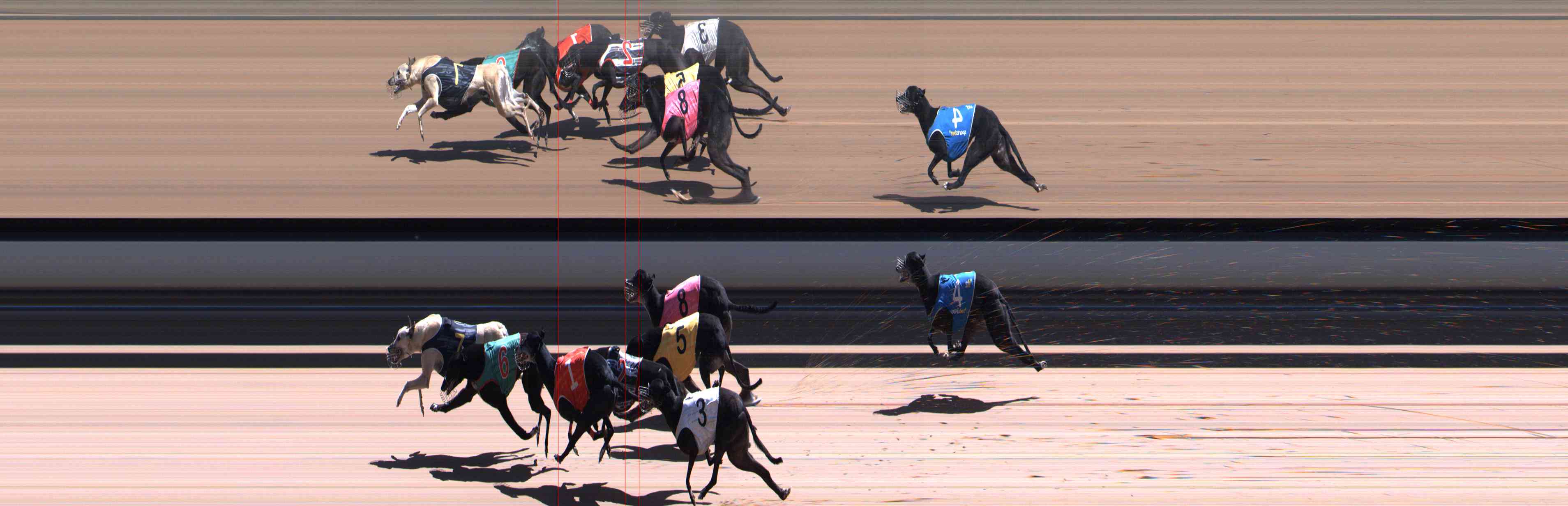 Photo finish for Healesville Race 12
