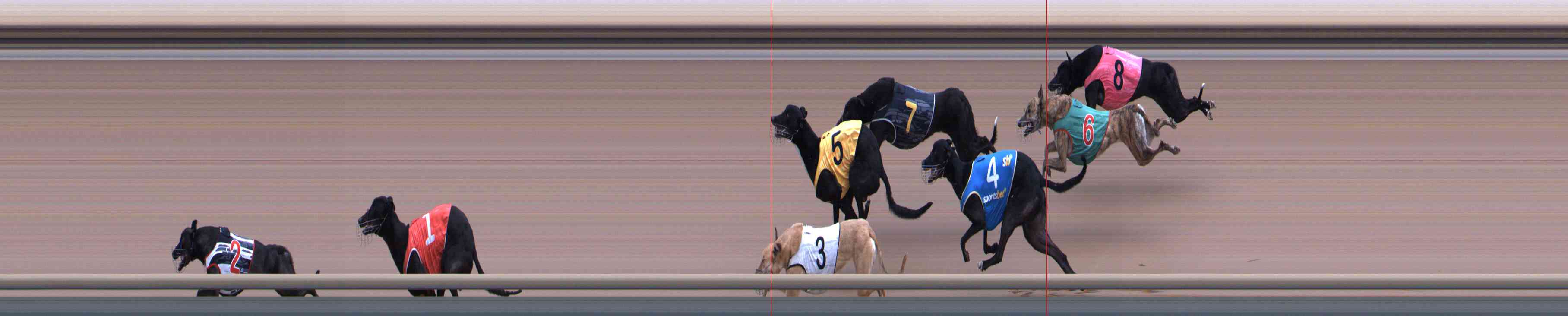Photo finish for Healesville Race 2