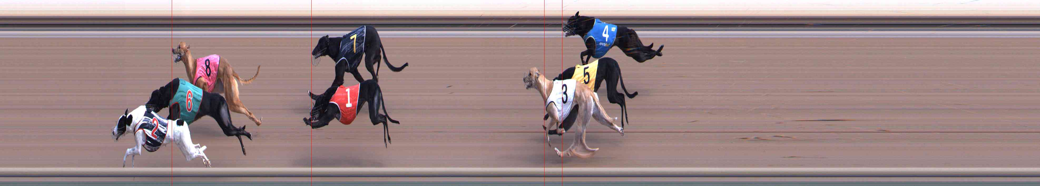 Photo finish for Healesville Race 3