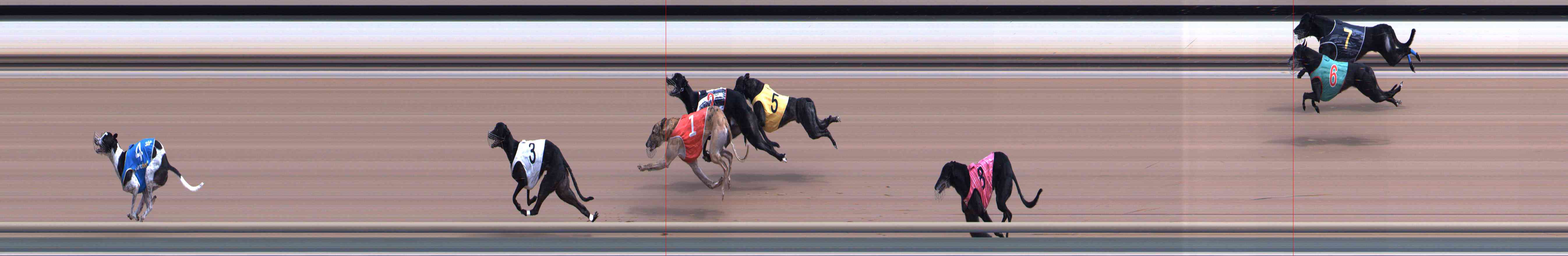 Photo finish for Healesville Race 4