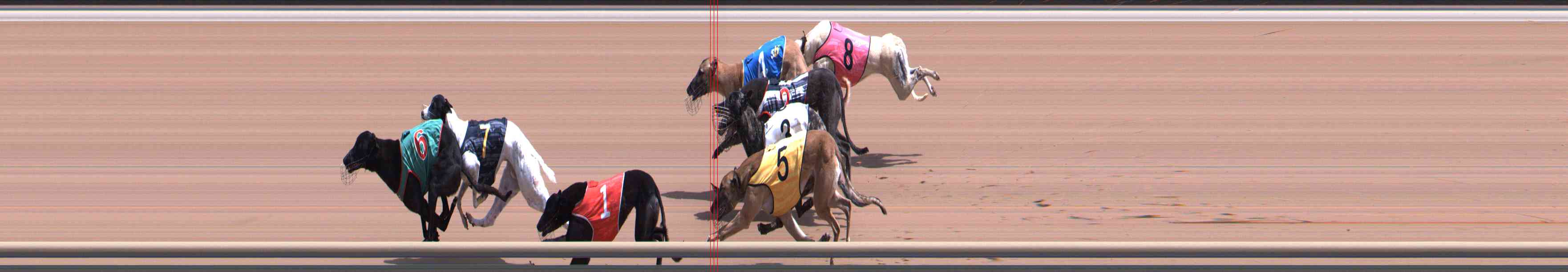 Photo finish for Healesville Race 5