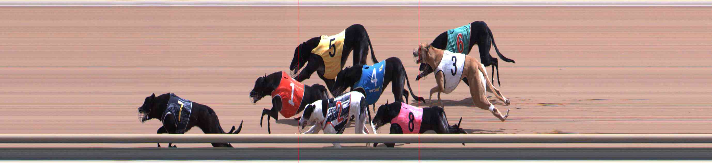 Photo finish for Healesville Race 6