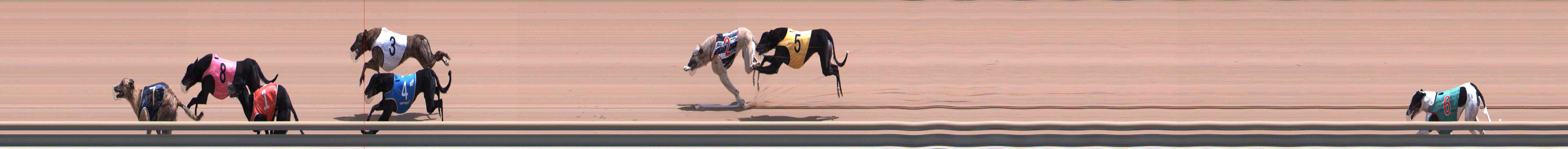 Photo finish for Healesville Race 7