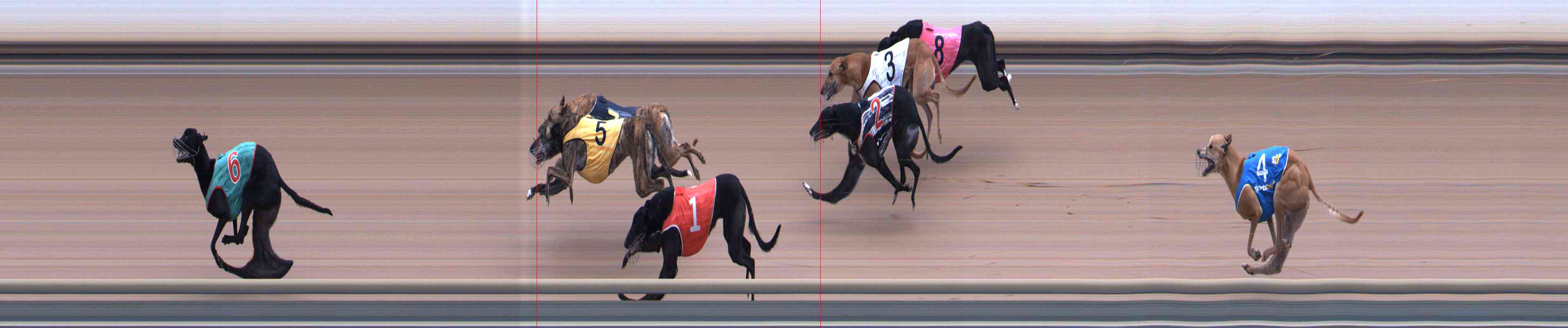 Photo finish for Healesville Race 8