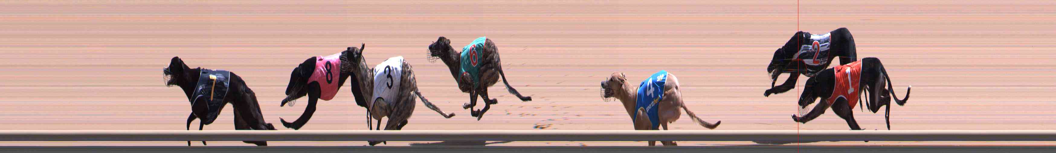 Photo finish for Healesville Race 9