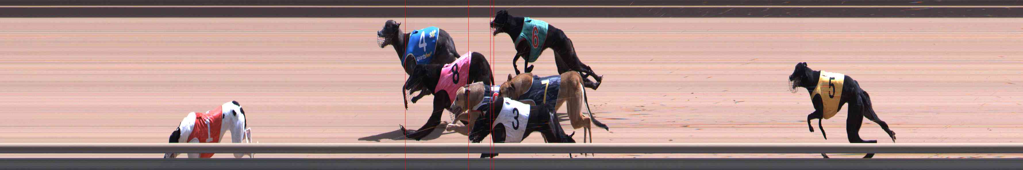 Photo finish for Healesville Race 10