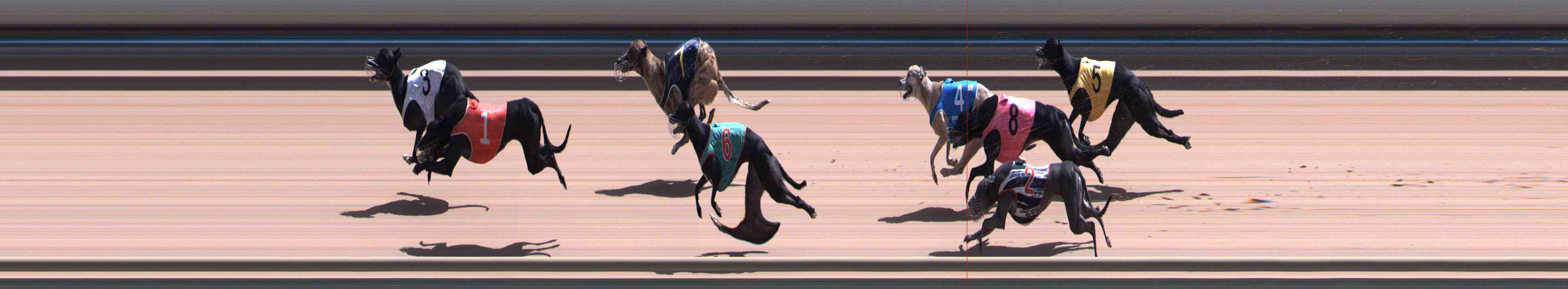 Photo finish for Healesville Race 11