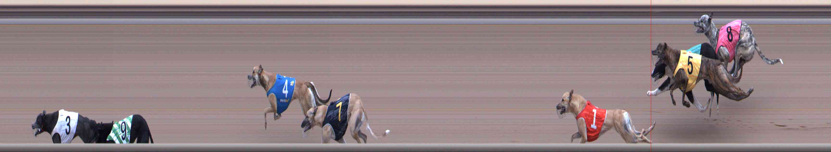 Photo finish for Healesville Race 2