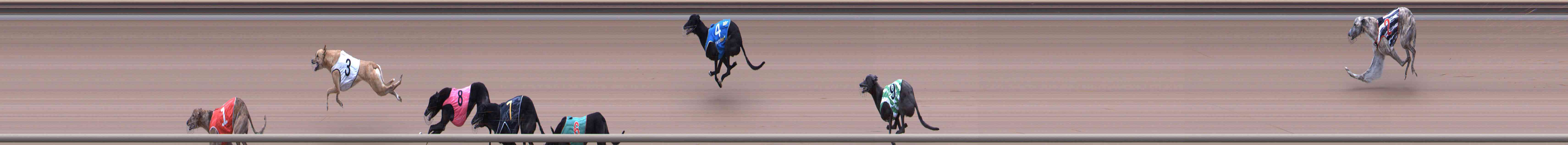 Photo finish for Healesville Race 3