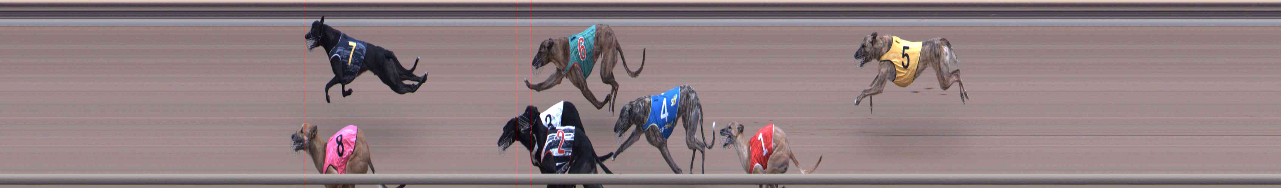 Photo finish for Healesville Race 5