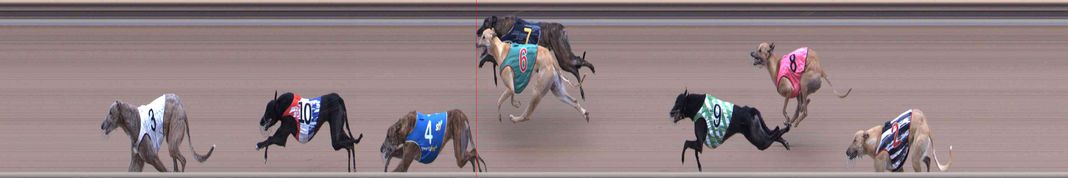 Photo finish for Healesville Race 6