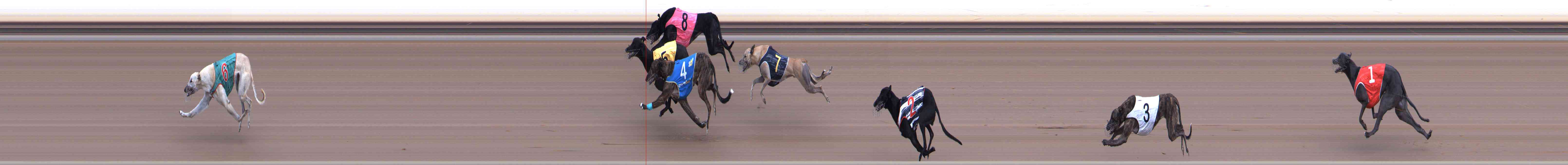 Photo finish for Healesville Race 7